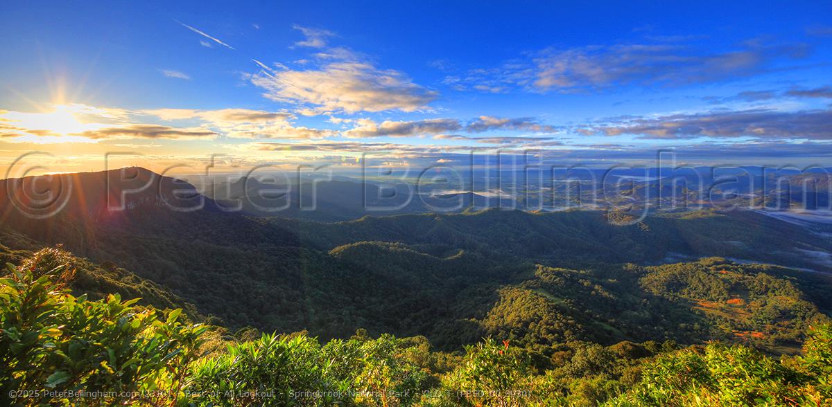 Peter Bellingham Photography Best of All Lookout - Springbrook National Park - QLD T (PB5D 00 3930)